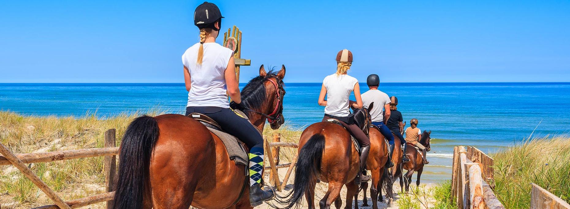 aironebiancoresidencevillage fr randonnees a cheval-comacchio 004
