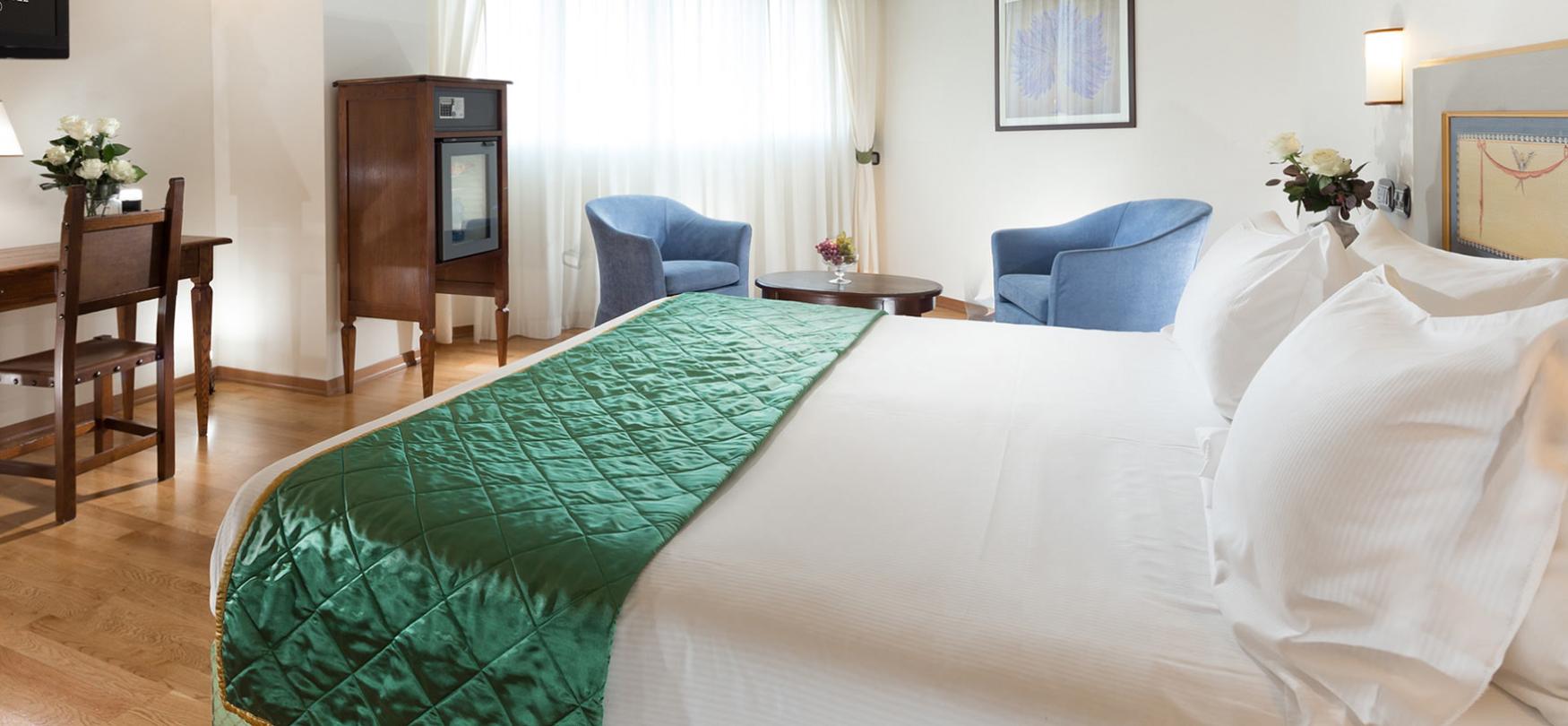 ambienthotels fr chambre-palace-hotel 006