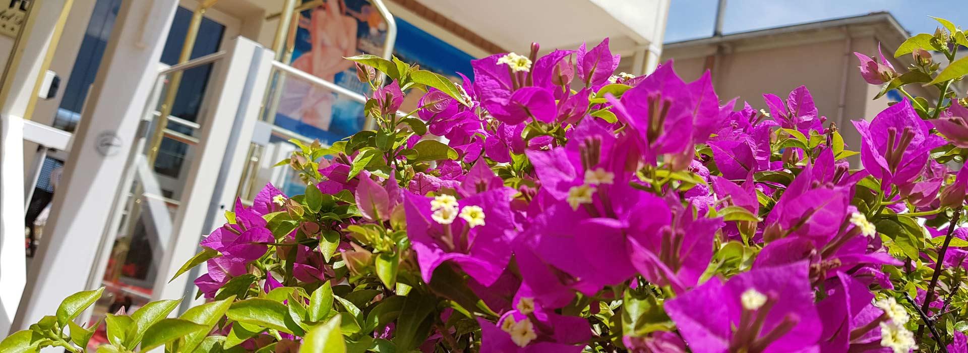 hoteldriade it offerte 009