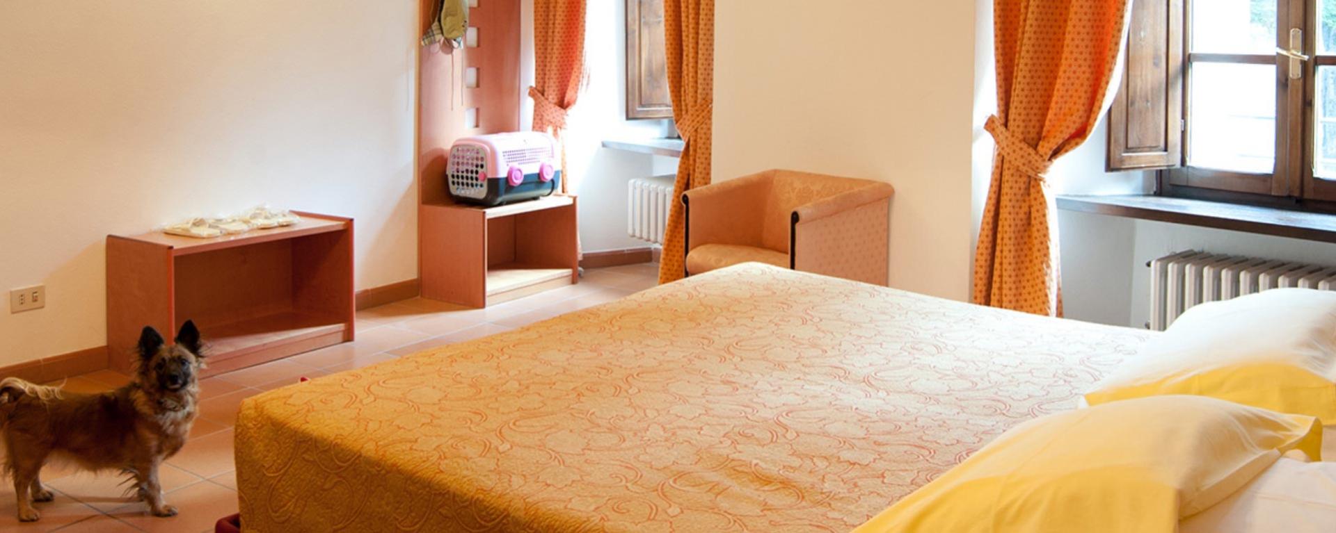 termesantagnese it hotel-termale-camera-special 001